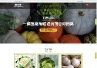 临泽营销网站